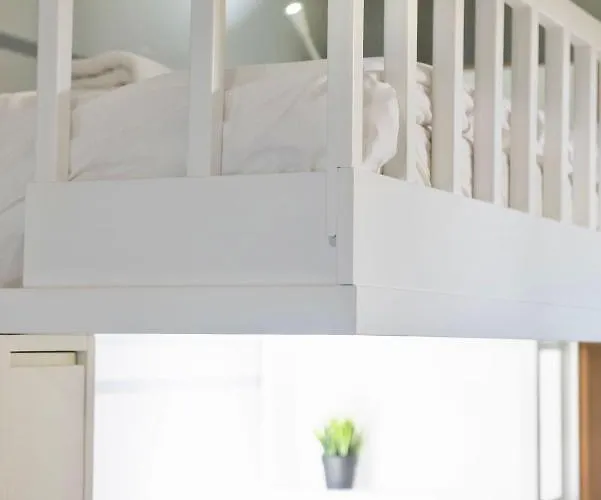 #pineapple Studio By Halu! *